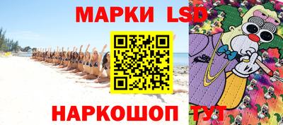 спиды Бердск
