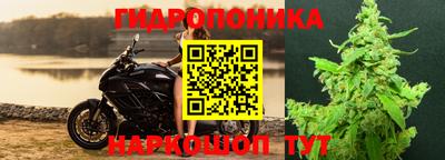 ГАЛЛЮЦИНОГЕННЫЕ ГРИБЫ Братск